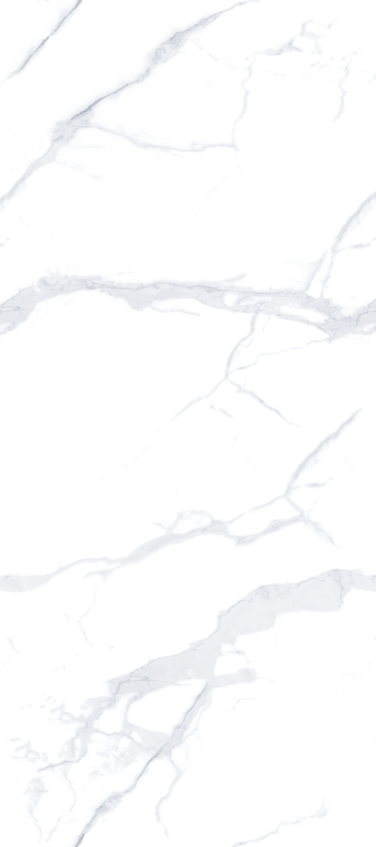 特級?mèng)~(yú)肚白 D12712W019Y產(chǎn)品圖